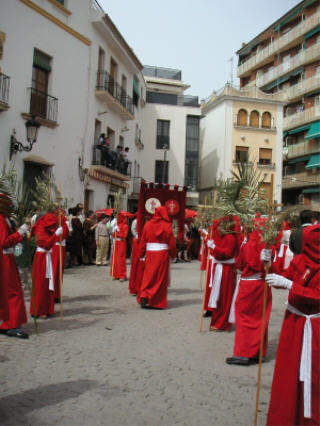 Domingo de Ramos 2005